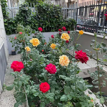 Beautiful In Apartman
